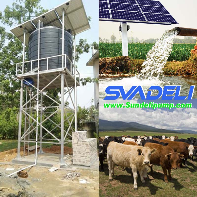China 3inch 72V Brushless DC solar multistage stainless steel borehole deep submersible pump 3SP6/44-72V/600W