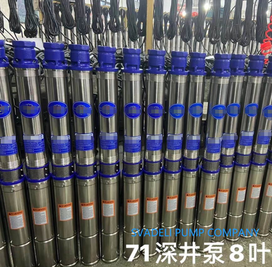 China Manufacturer Direct Sales to Thailand 0.75HP High Lift Stainless Steel Pump Deep Well Pump Submersible Pump